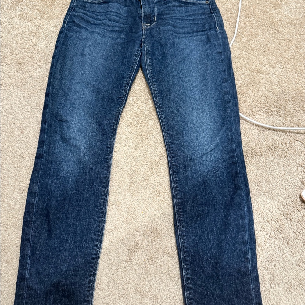 Hudson Jeans Blue Skinny Denim